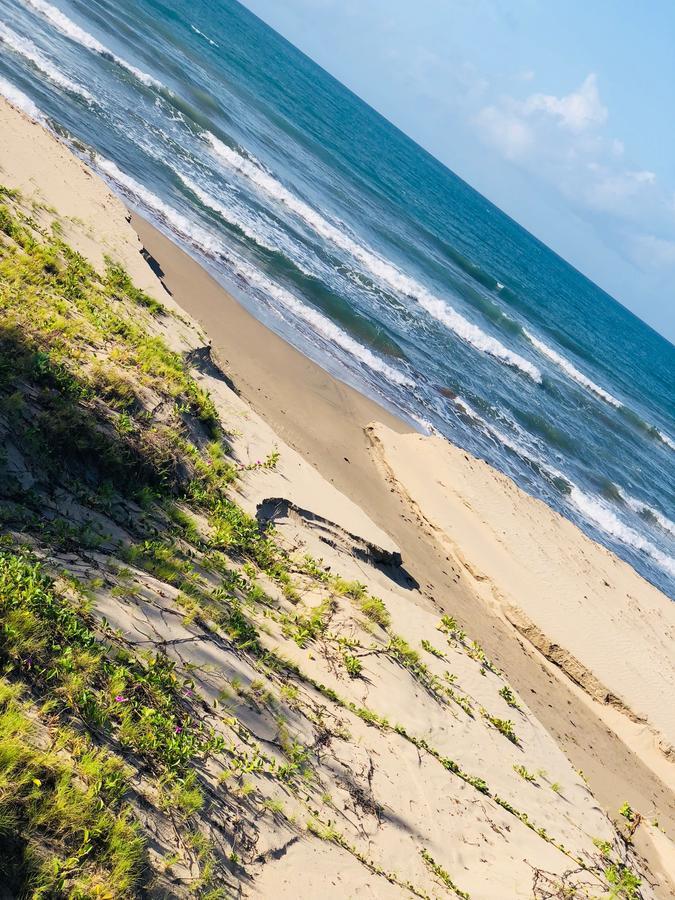 מלון טרזר ביץ' Taino Cove מראה חיצוני תמונה